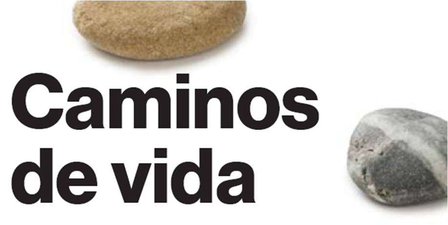 Ir a Carpeta